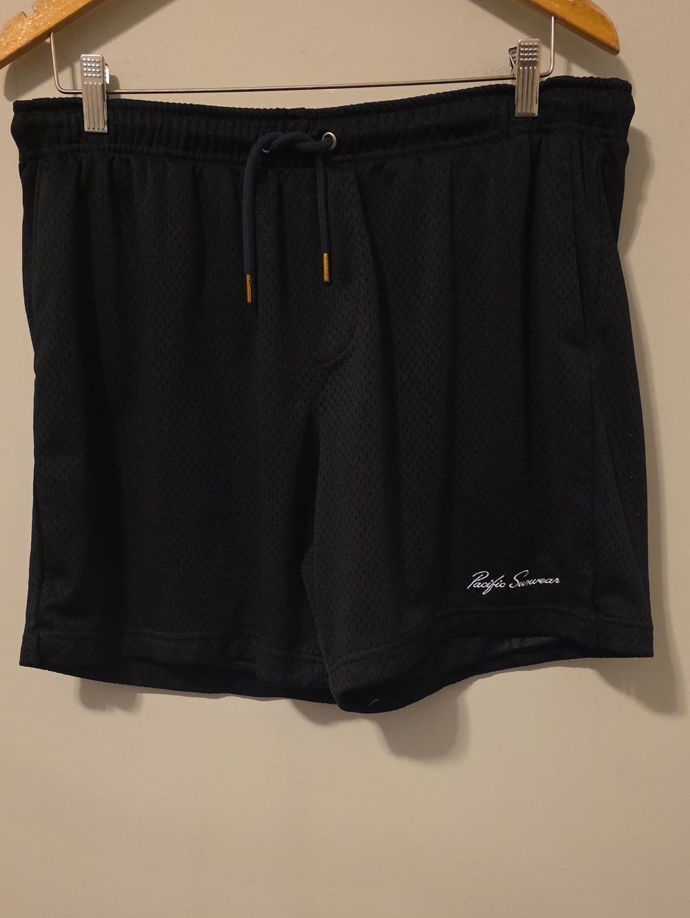 PacSun Pacific Sunwear Mesh Volley Shorts